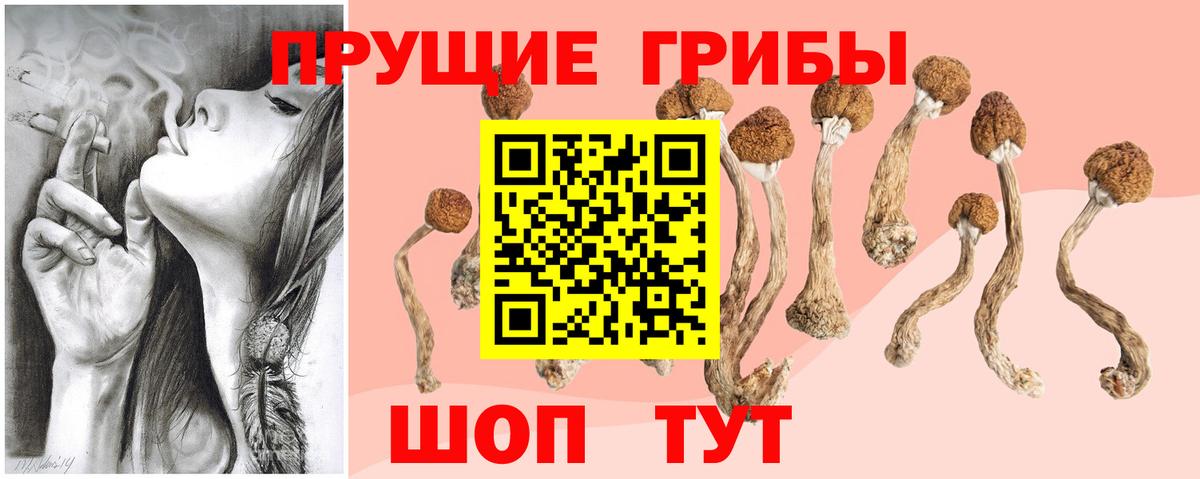 Гуково  Псилоцибиновые грибы прущие грибы  сколько стоит  Вход с VPN 